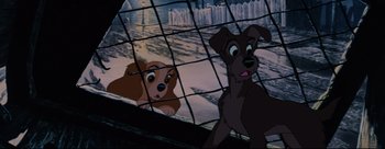 Movie still from “Lady and the Tramp” (1955), directed by Clyde Geronimi – A dog and a puppy looking through a fence; Wide shot, Low angle