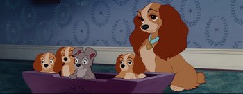 Movie still from “Lady and the Tramp” (1955), directed by Clyde Geronimi – A couple of dogs sitting next to each other; Medium shot, High angle