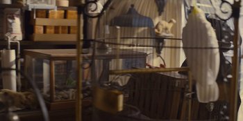 Movie still from “Lady and the Tramp” (2019), directed by Charlie Bean – A bird in a cage in a room; Medium shot, Low angle