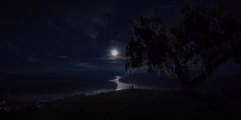 Two people sitting under a tree on a hill at night
