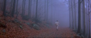 Movie still from “Ladyhawke” (1985), directed by Richard Donner – A man is running through the woods in the fog; Extreme Wide shot, High angle