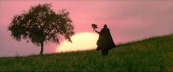 Movie still from “Ladyhawke” (1985), directed by Richard Donner – A person standing in a field with a bird in his hand; Wide shot, Low angle