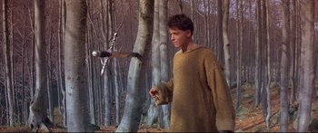 Movie still from “Ladyhawke” (1985), directed by Richard Donner – A man in a wooded area holding a sword; Medium shot, High angle