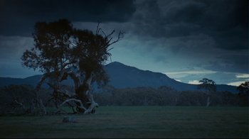 Movie still from “Lake Mungo” (2008), directed by Joel Anderson – A tree in the middle of a field under a cloudy sky; Extreme Wide shot, Low angle