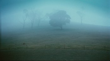 Movie still from “Lake Mungo” (2008), directed by Joel Anderson – A tree in the middle of a field in the fog; Extreme Wide shot, High angle