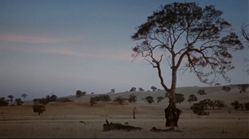 Movie still from “Lake Mungo” (2008), directed by Joel Anderson – A tree in the middle of a field with trees in the background; Extreme Wide shot, Low angle