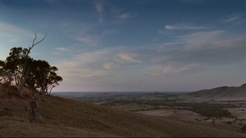 Movie still from “Lake Mungo” (2008), directed by Joel Anderson – A tree on the side of a hill overlooking a valley; Extreme Wide shot, Low angle