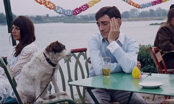 Movie still from “Le Grand Amour” (1969), directed by Pierre Étaix – A man sitting at a table next to a brown and white dog; Medium shot, Over the shoulder angle