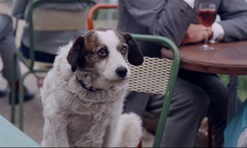 Movie still from “Le Grand Amour” (1969), directed by Pierre Étaix – A dog sitting on a chair in front of a person; Close Up shot, High angle
