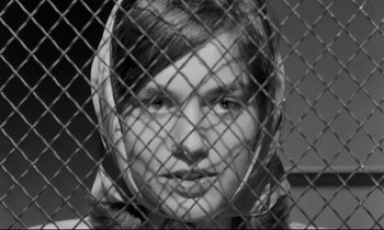 Movie still from “The Hole” (1960), directed by Jacques Becker – A young man behind a chain link fence looking at the camera; Close Up shot, Low angle