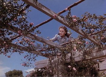 Movie still from “Leave Her to Heaven” (1945), directed by John M. Stahl – A young girl standing on top of a trellis; Wide shot, Low angle