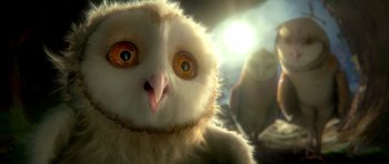 Movie still from “Legend of the Guardians: The Owls of Ga'Hoole” (2010), directed by Zack Snyder – A stuffed owl sitting next to another stuffed owl; Extreme Close Up shot, Low angle