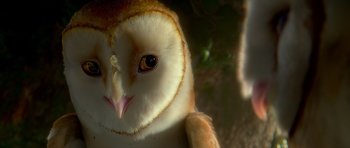 Movie still from “Legend of the Guardians: The Owls of Ga'Hoole” (2010), directed by Zack Snyder – The face of an owl; Extreme Close Up shot, Low angle