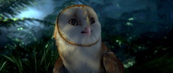 Movie still from “Legend of the Guardians: The Owls of Ga'Hoole” (2010), directed by Zack Snyder – An owl's face with trees in the background; Close Up shot, Low angle