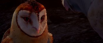 Movie still from “Legend of the Guardians: The Owls of Ga'Hoole” (2010), directed by Zack Snyder – An owl's face with a bird in the background; Extreme Close Up shot, High angle