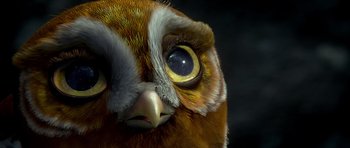 Movie still from “Legend of the Guardians: The Owls of Ga'Hoole” (2010), directed by Zack Snyder – The face of an owl; Extreme Close Up shot, High angle