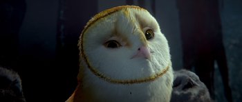 Movie still from “Legend of the Guardians: The Owls of Ga'Hoole” (2010), directed by Zack Snyder – An owl's face with the eyes open; Extreme Close Up shot, High angle