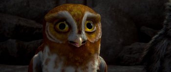 Movie still from “Legend of the Guardians: The Owls of Ga'Hoole” (2010), directed by Zack Snyder – An owl with big yellow eyes is looking at the camera; Extreme Close Up shot, High angle