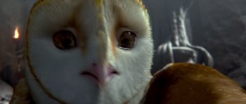 Movie still from “Legend of the Guardians: The Owls of Ga'Hoole” (2010), directed by Zack Snyder – The face of an owl; Extreme Close Up shot, Low angle