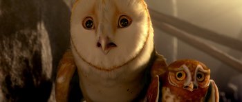 Movie still from “Legend of the Guardians: The Owls of Ga'Hoole” (2010), directed by Zack Snyder – An owl's face in the sunlight; Extreme Close Up shot, High angle