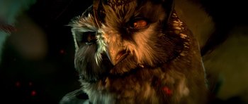 Movie still from “Legend of the Guardians: The Owls of Ga'Hoole” (2010), directed by Zack Snyder – An image of an owl that is very close to the camera; Extreme Close Up shot, Low angle