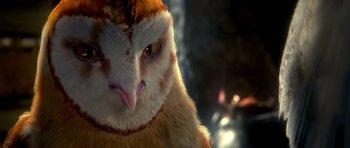 Movie still from “Legend of the Guardians: The Owls of Ga'Hoole” (2010), directed by Zack Snyder – An owl's face in the sunlight; Extreme Close Up shot, Low angle