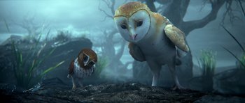 Movie still from “Legend of the Guardians: The Owls of Ga'Hoole” (2010), directed by Zack Snyder – Two owls standing next to each other on a rocky ground; Close Up shot, Low angle