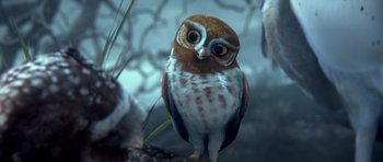 Movie still from “Legend of the Guardians: The Owls of Ga'Hoole” (2010), directed by Zack Snyder – An owl sitting on top of a tree branch; Close Up shot, Low angle