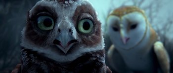 Movie still from “Legend of the Guardians: The Owls of Ga'Hoole” (2010), directed by Zack Snyder – The face of an owl; Extreme Close Up shot, Low angle