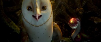Movie still from “Legend of the Guardians: The Owls of Ga'Hoole” (2010), directed by Zack Snyder – An owl sitting next to another owl in a forest; Extreme Close Up shot, High angle
