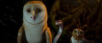 Movie still from “Legend of the Guardians: The Owls of Ga'Hoole” (2010), directed by Zack Snyder – An owl and a snake in a forest setting; Close Up shot, Low angle