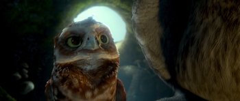 Movie still from “Legend of the Guardians: The Owls of Ga'Hoole” (2010), directed by Zack Snyder – An owl's face with its eyes wide open; Extreme Close Up shot, Low angle