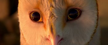 Movie still from “Legend of the Guardians: The Owls of Ga'Hoole” (2010), directed by Zack Snyder – Picture of the eyes of an owl; Extreme Close Up shot, Low angle