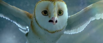 Movie still from “Legend of the Guardians: The Owls of Ga'Hoole” (2010), directed by Zack Snyder – The face of an owl; Extreme Close Up shot, High angle
