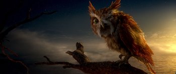 Movie still from “Legend of the Guardians: The Owls of Ga'Hoole” (2010), directed by Zack Snyder – An owl sitting on a tree branch at night; Close Up shot, Low angle