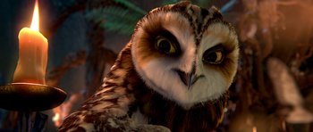 Movie still from “Legend of the Guardians: The Owls of Ga'Hoole” (2010), directed by Zack Snyder – An owl's face with a fern in the background; Extreme Close Up shot, Low angle
