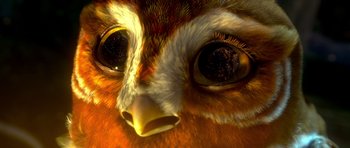 Movie still from “Legend of the Guardians: The Owls of Ga'Hoole” (2010), directed by Zack Snyder – Picture of the eyes of an owl; Extreme Close Up shot, High angle