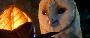 Movie still from “Legend of the Guardians: The Owls of Ga'Hoole” (2010), directed by Zack Snyder – An image of an owl that is looking at a candle; Extreme Close Up shot, High angle