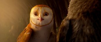 Movie still from “Legend of the Guardians: The Owls of Ga'Hoole” (2010), directed by Zack Snyder – An owl's face with a tree in the background; Extreme Close Up shot, Low angle