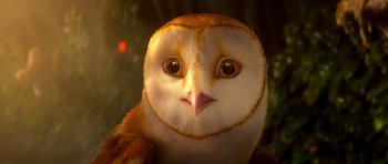 Movie still from “Legend of the Guardians: The Owls of Ga'Hoole” (2010), directed by Zack Snyder – An owl's face in the dark; Extreme Close Up shot, Low angle