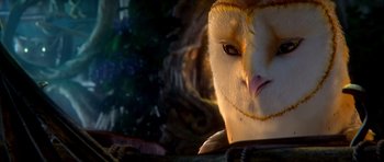 Movie still from “Legend of the Guardians: The Owls of Ga'Hoole” (2010), directed by Zack Snyder – An owl's face in the dark; Extreme Close Up shot, Low angle