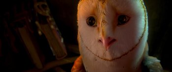 Movie still from “Legend of the Guardians: The Owls of Ga'Hoole” (2010), directed by Zack Snyder – The face of an owl; Extreme Close Up shot, High angle