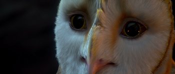 Movie still from “Legend of the Guardians: The Owls of Ga'Hoole” (2010), directed by Zack Snyder – View of the face of an owl; Extreme Close Up shot, High angle