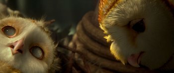 Movie still from “Legend of the Guardians: The Owls of Ga'Hoole” (2010), directed by Zack Snyder – View of the feathers of a bird of prey; Extreme Close Up shot, Over the shoulder angle