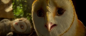 Movie still from “Legend of the Guardians: The Owls of Ga'Hoole” (2010), directed by Zack Snyder – The face of an owl; Extreme Close Up shot, Low angle