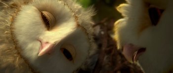 Movie still from “Legend of the Guardians: The Owls of Ga'Hoole” (2010), directed by Zack Snyder – An owl is sitting on a branch in the sunlight; Extreme Close Up shot, Low angle