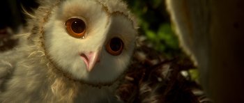 Movie still from “Legend of the Guardians: The Owls of Ga'Hoole” (2010), directed by Zack Snyder – The eyes of a white owl; Extreme Close Up shot, High angle