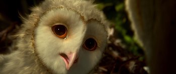 Movie still from “Legend of the Guardians: The Owls of Ga'Hoole” (2010), directed by Zack Snyder – The face of a white owl; Extreme Close Up shot, High angle