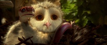 Movie still from “Legend of the Guardians: The Owls of Ga'Hoole” (2010), directed by Zack Snyder – An owl with a snake in it's mouth; Extreme Close Up shot, High angle