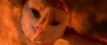 Movie still from “Legend of the Guardians: The Owls of Ga'Hoole” (2010), directed by Zack Snyder – The face of an owl; Extreme Close Up shot, Low angle